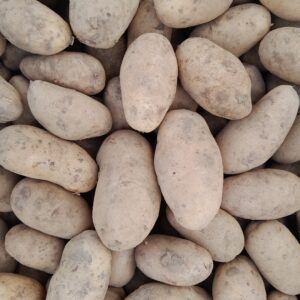 POMMES DE TERRE - Goldmarie - 2,30 €/kg