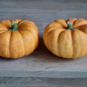 MINI-COURGE - Jack Be Little - 2,70 €/kg