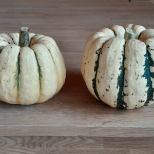 MINI-COURGE - Sweet Dumpling - 2,70 €/kg