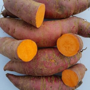PATATE DOUCE - 3,50 €/kg
